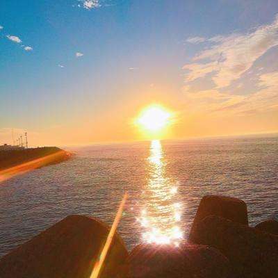 best365网页版登录截图