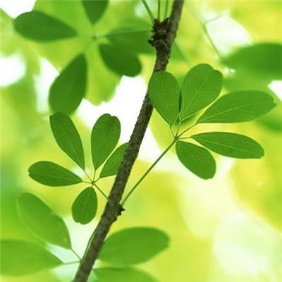 pg电子娱乐平台app下载