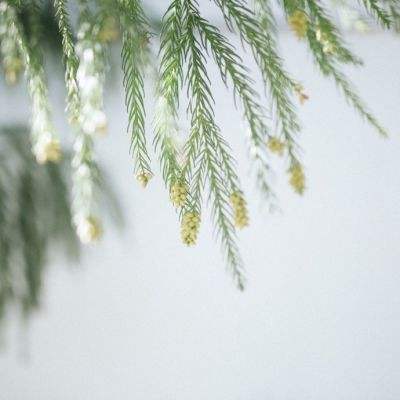 凯发游戏下载手机版