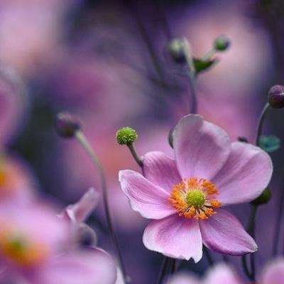 乐鱼竞彩官网app下载