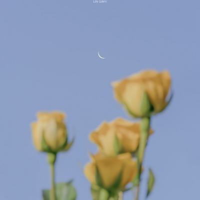 爱游戏全站APP下载app下载