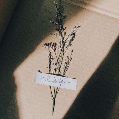 BOB体育综合入口app下载