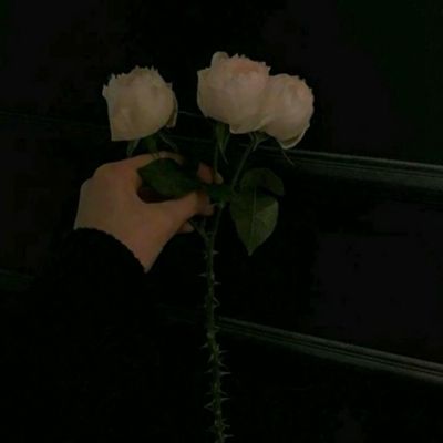 ag旗舰厅客户端下载