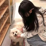 im电竞官方官网下载手机版